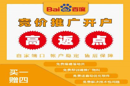 谷歌竞价案例：跨境电商广告投放策略